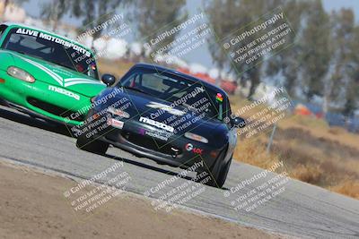 media/Oct-14-2023-CalClub SCCA (Sat) [[0628d965ec]]/Group 4/Qualifying/